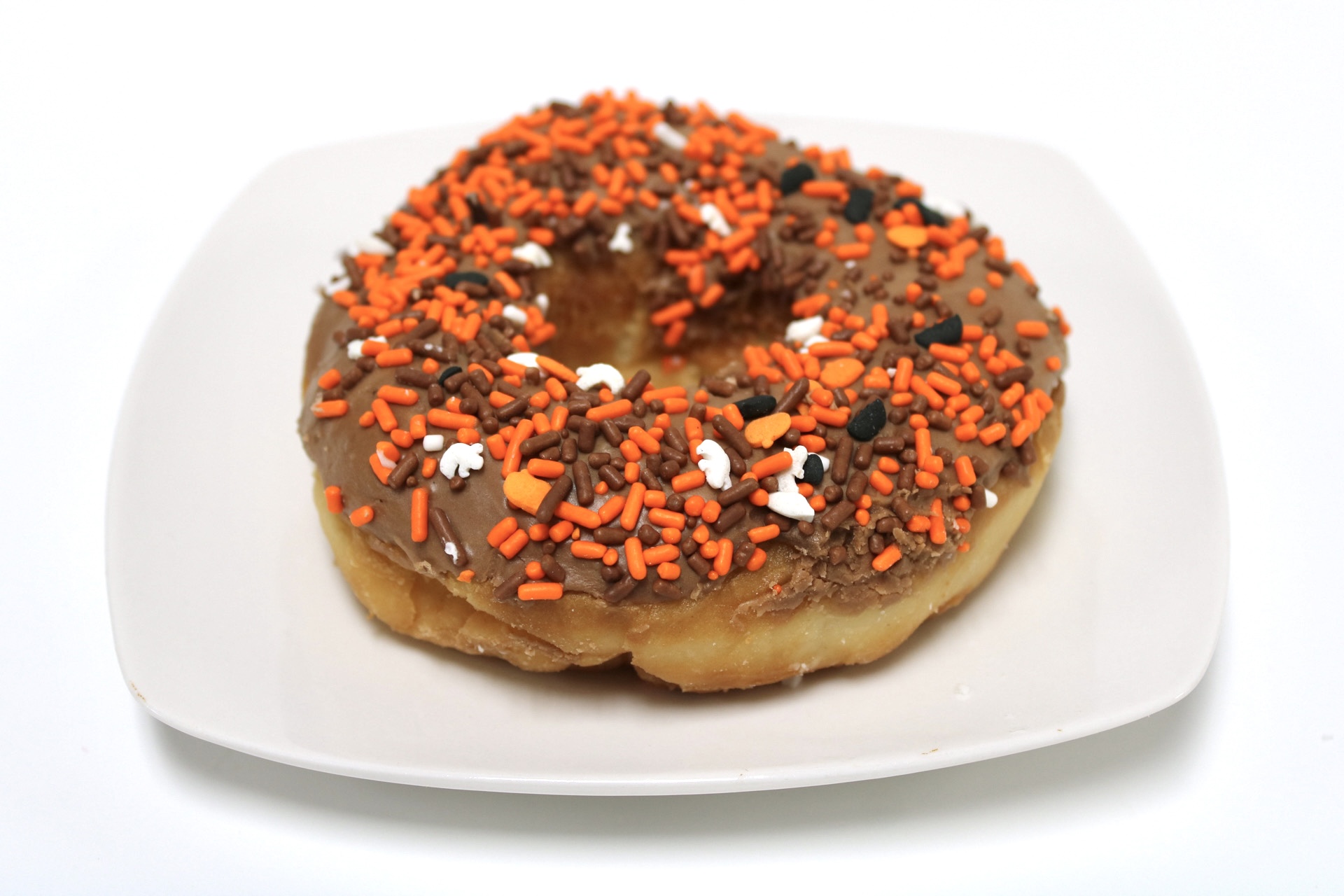 Chocolate Sprinkle Donut